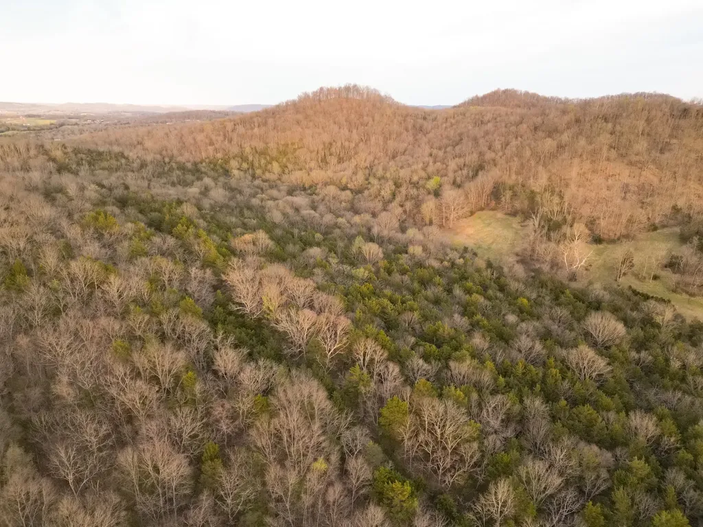 0 Rock Springs Road Watertown TN 37184