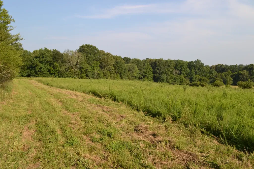 669 Houston Fielder Road Clarksville TN 37043