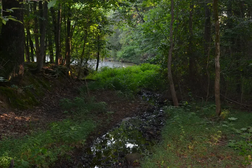 669 Houston Fielder Road Clarksville TN 37043