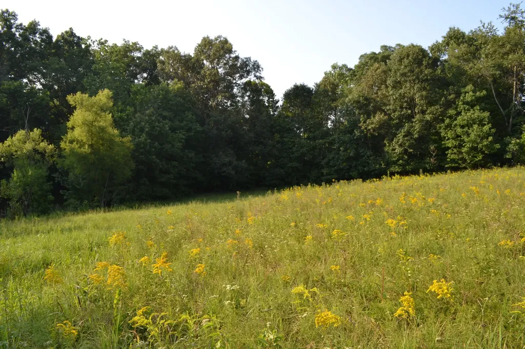 669 Houston Fielder Road Clarksville TN 37043