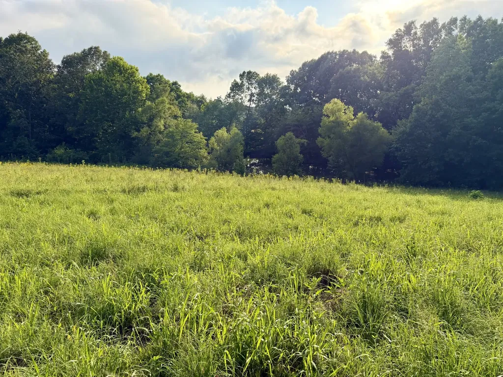 669 Houston Fielder Road Clarksville TN 37043