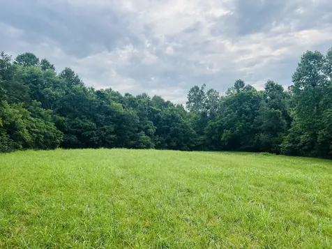 0 Pleasant Grove Road Westmoreland TN 37186