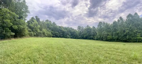 0 Pleasant Grove Road Westmoreland TN 37186