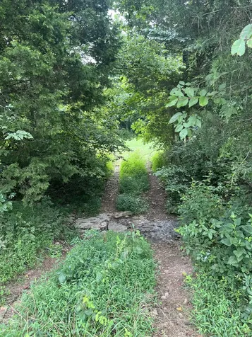 0 Pleasant Grove Road Westmoreland TN 37186
