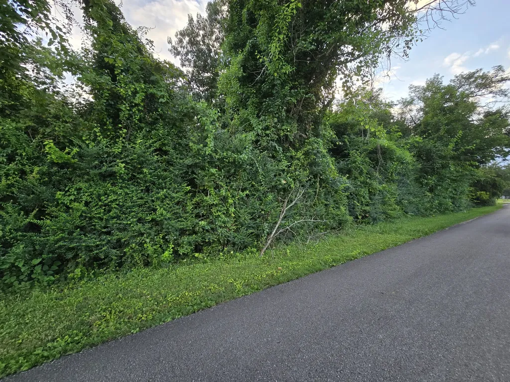 1240 Old Beersheba Road Mcminnville TN 37110