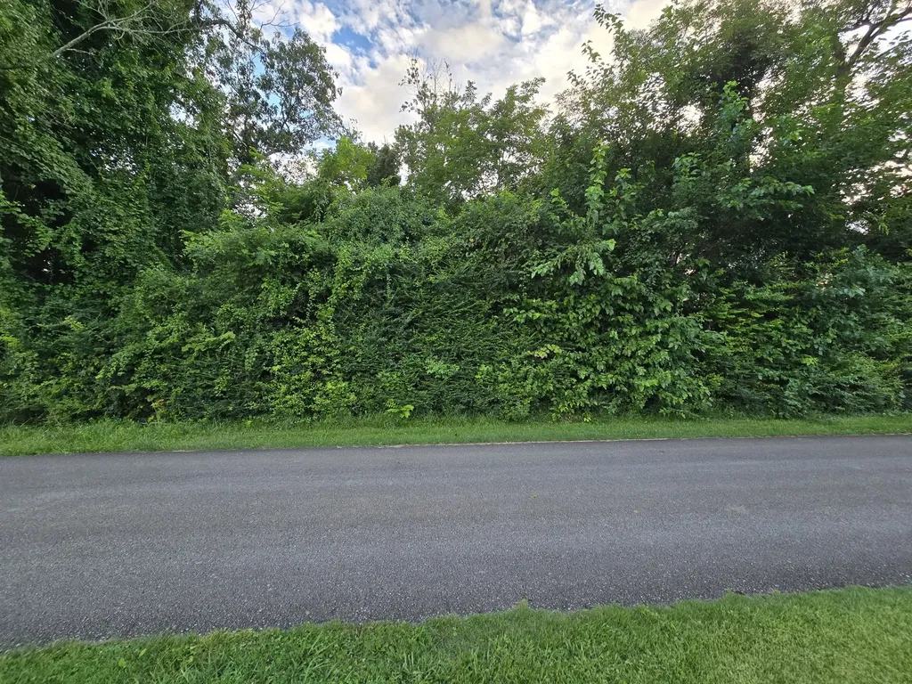 1240 Old Beersheba Road Mcminnville TN 37110