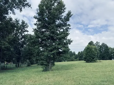 205 Raulston Falls Road Jasper TN 37347