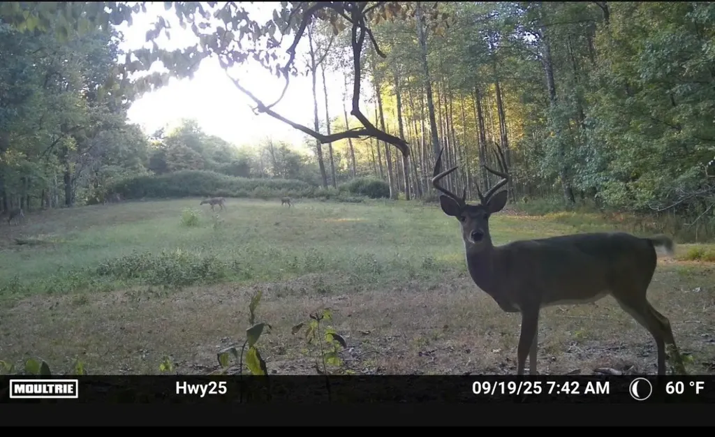 189 Bud Pvt Lane Cottontown TN 37048