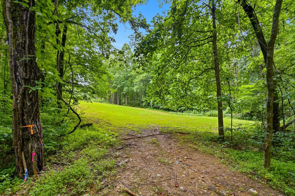 189 Bud Pvt Lane Cottontown TN 37048