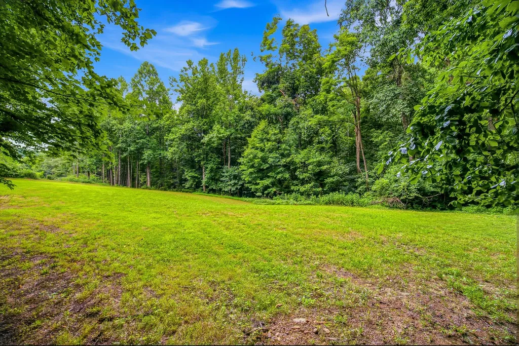 189 Bud Pvt Lane Cottontown TN 37048