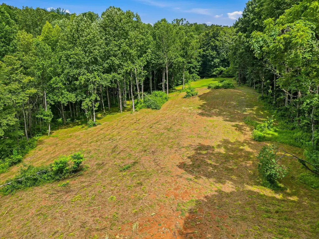 189 Bud Pvt Lane Cottontown TN 37048