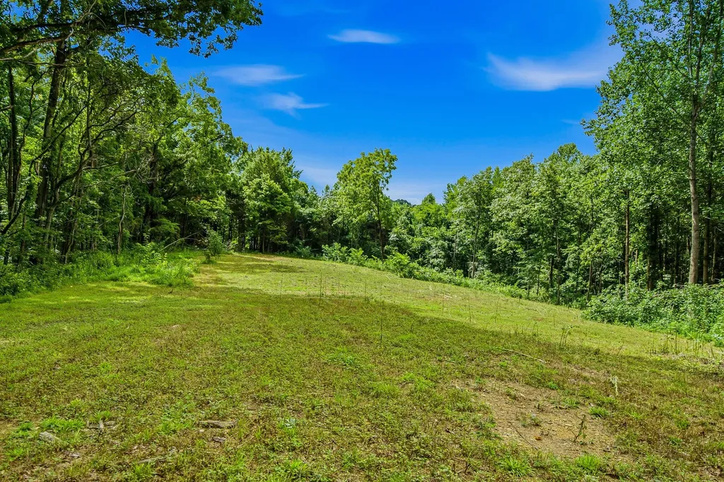 189 Bud Pvt Lane Cottontown TN 37048
