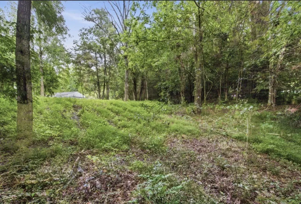 0 Glen Echo Drive Old Hickory TN 37138