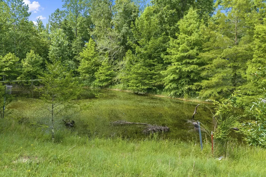 150 Beaver Lane Parsons TN 38363