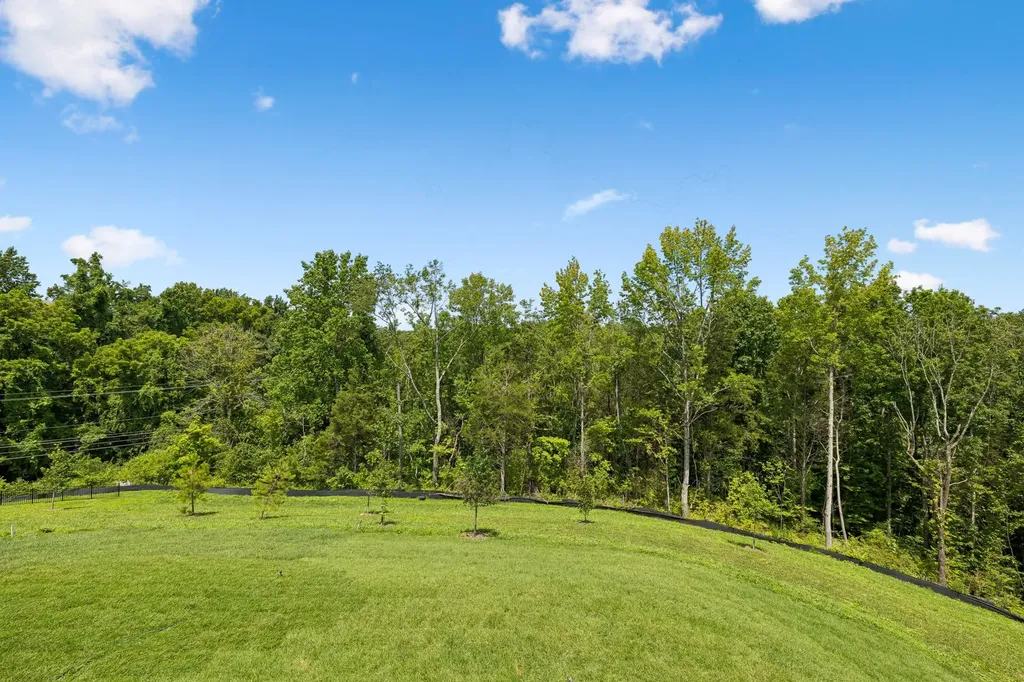 217 Ash Dale Drive Mount Juliet TN 37122