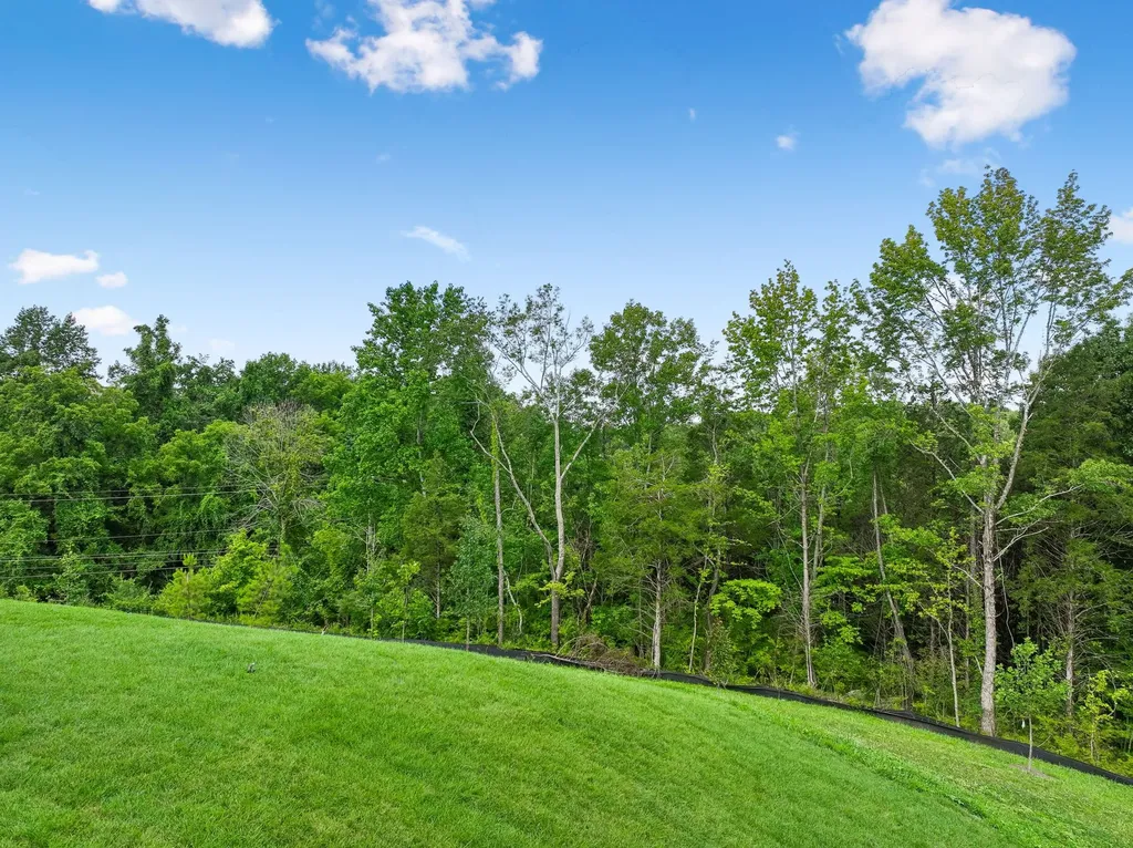 217 Ash Dale Drive Mount Juliet TN 37122