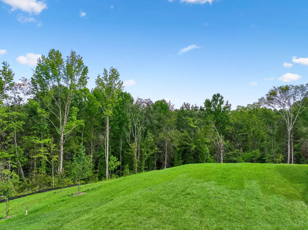 217 Ash Dale Drive Mount Juliet TN 37122