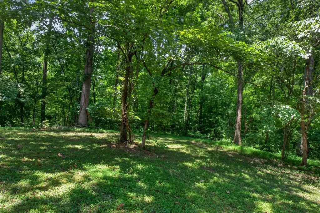 1403 Tanasi Trail Cookeville TN 38506