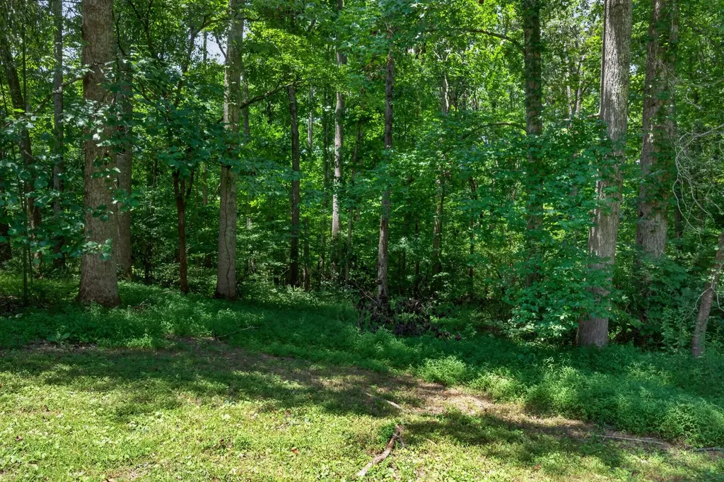 1403 Tanasi Trail Cookeville TN 38506
