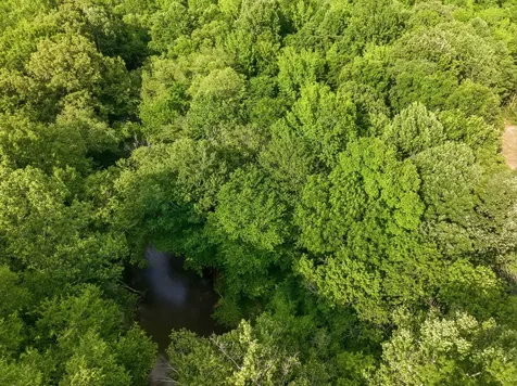 0 Shady Hill Road Lexington TN 38351