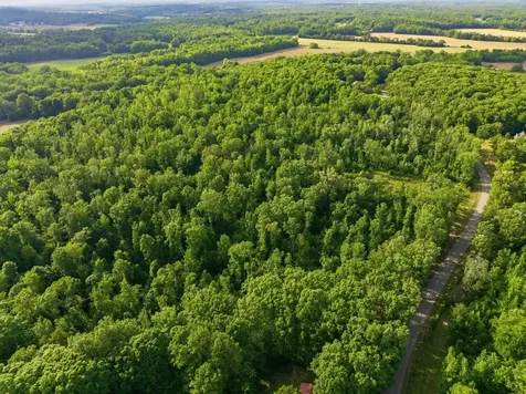 0 Shady Hill Road Lexington TN 38351