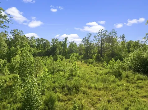 0 Shady Hill Road Lexington TN 38351