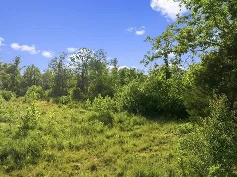 0 Shady Hill Road Lexington TN 38351