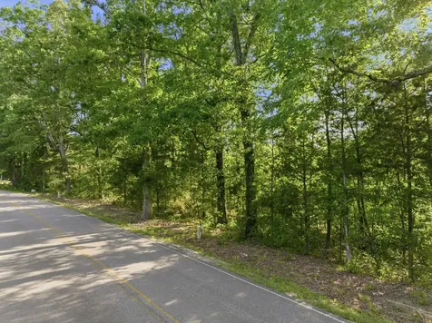 0 Shady Hill Road Lexington TN 38351