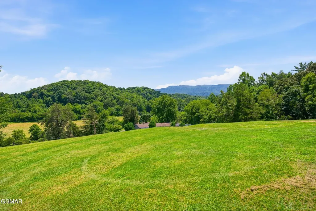 1317 Dupont Road Seymour TN 37865