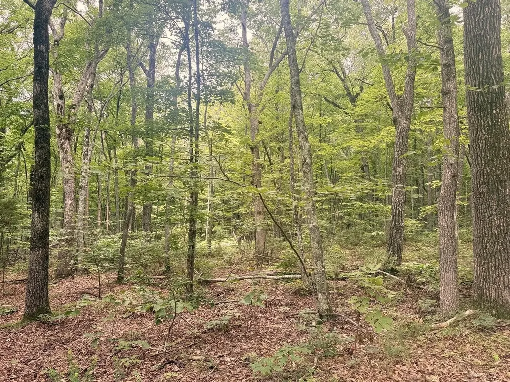 4104 Windridge Drive Dunlap TN 37327