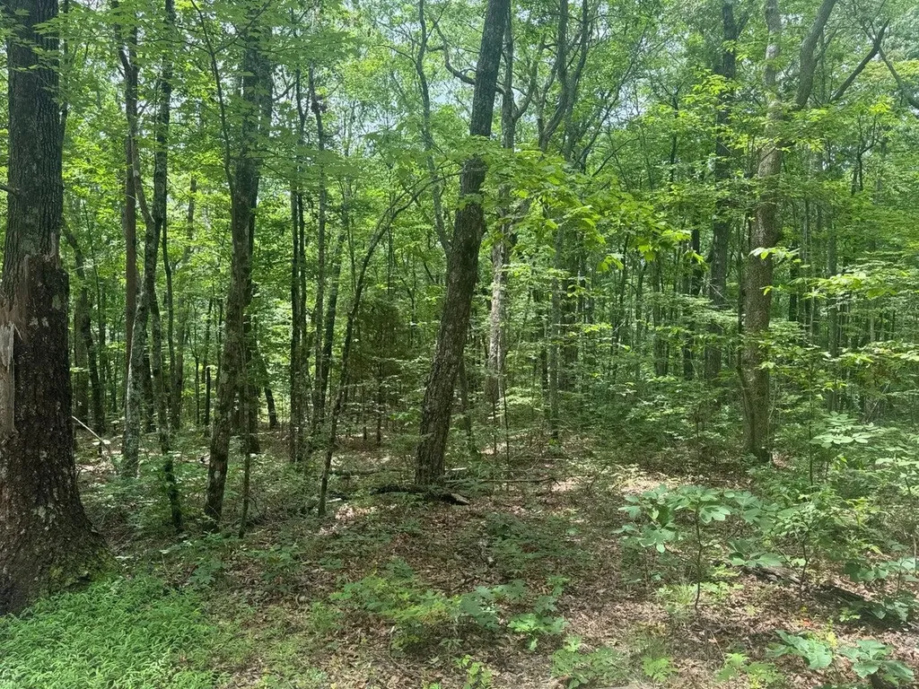 4104 Windridge Drive Dunlap TN 37327