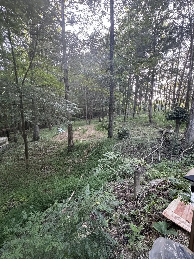 455 Old Pinhook Road Smithville TN 37166