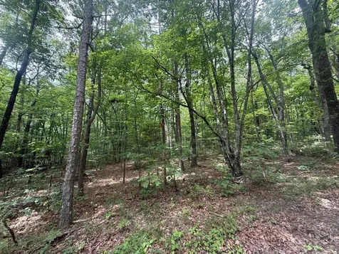 1869 Windridge Drive Dunlap TN 37327