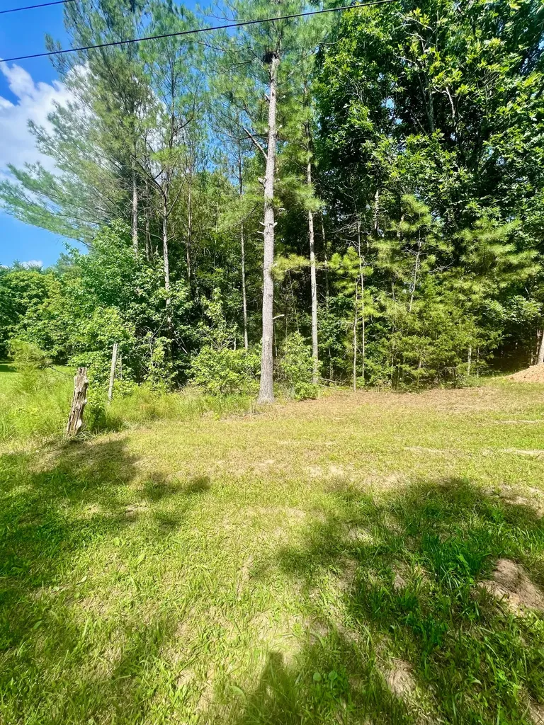 0 Old Hart Road Lexington TN 38351