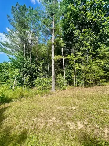 0 Old Hart Road Lexington TN 38351