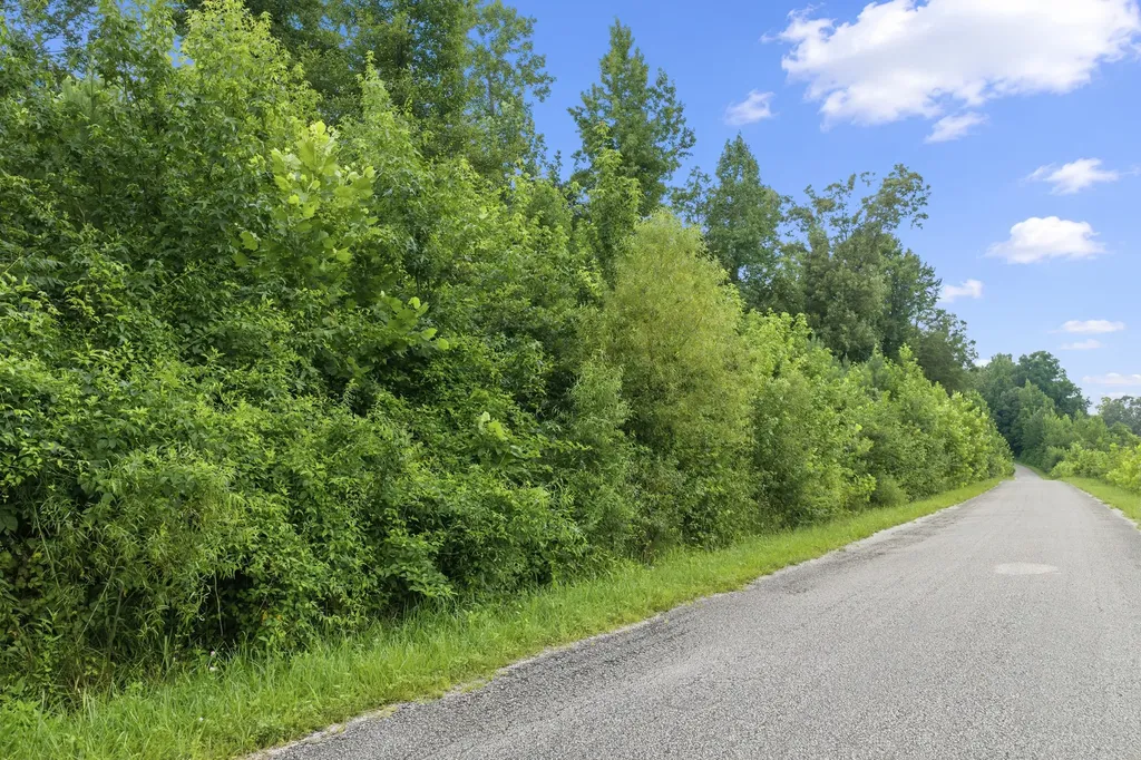 0 Lindsey Road Parsons TN 38363