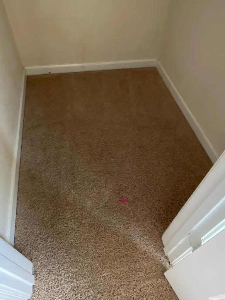 120 Batya Court La Vergne TN 37086