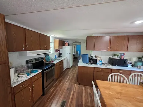 230 Jones Loop Springville TN 38256