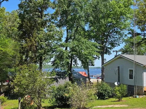230 Jones Loop Springville TN 38256