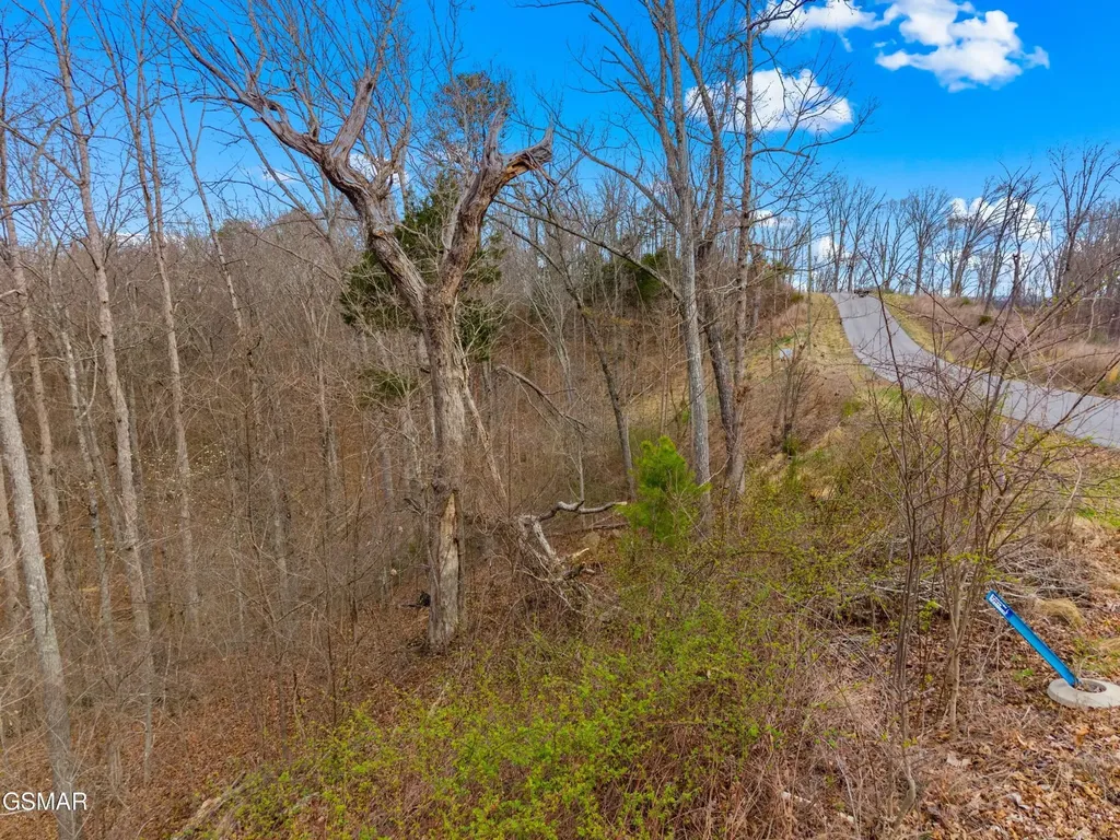 1530 Waterside Cove Drive Dandridge TN 37725