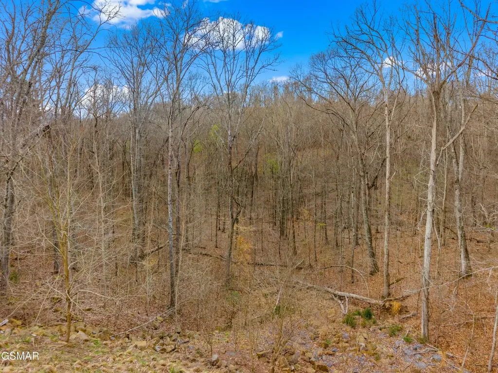 1530 Waterside Cove Drive Dandridge TN 37725