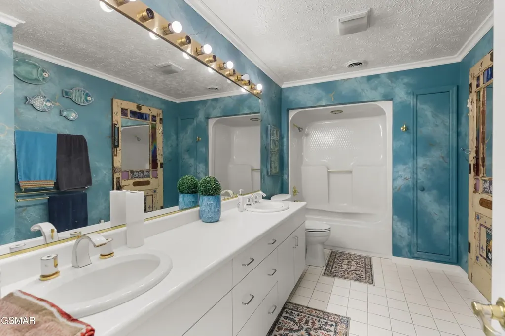 829 Tucker Place Way Dandridge TN 37725