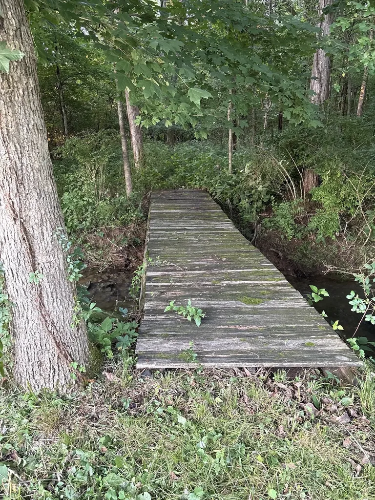560 Windy Road Mount Juliet TN 37122