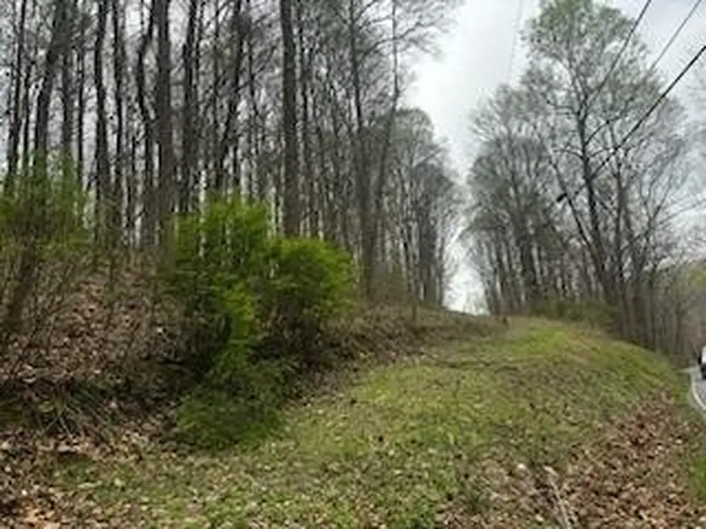 0 County Road 197 Athens TN 37303