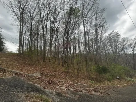 0 County Road 197 Athens TN 37303