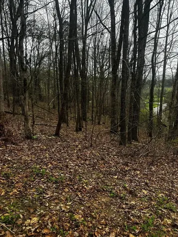 0 County Road 197 Athens TN 37303