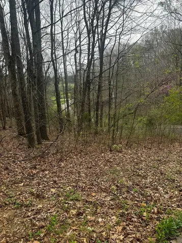 0 County Road 197 Athens TN 37303