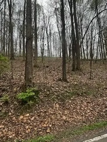 0 County Road 197 Athens TN 37303
