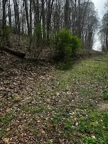 0 County Road 197 Athens TN 37303