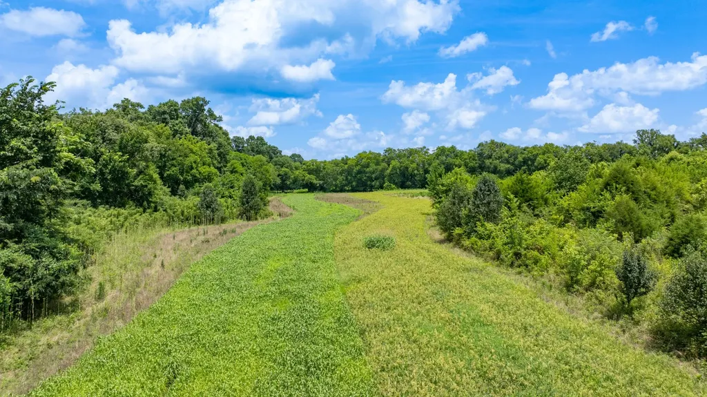 498 Rattlesnake Lodge Road Shelbyville TN 37160